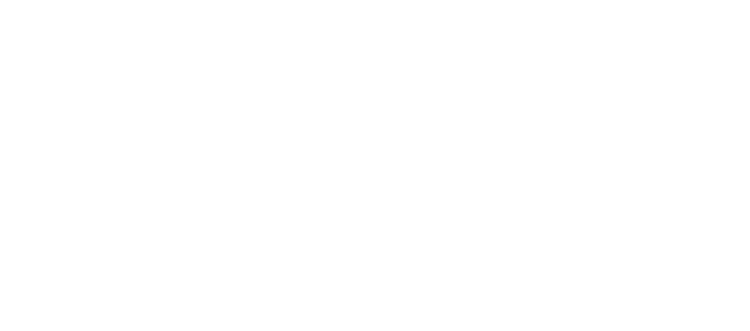 Fenix